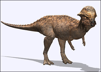 File:Prenocephale.jpg