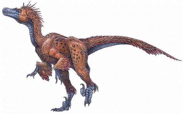 File:Deinonychus antirrhopus.gif