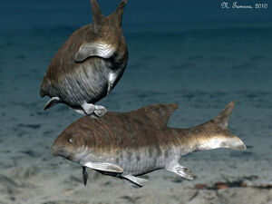 Lepidotes