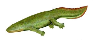 Hynerpeton