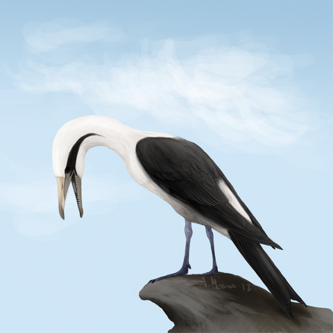 File:Ichthyornis dispar.png