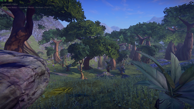 Forest biome