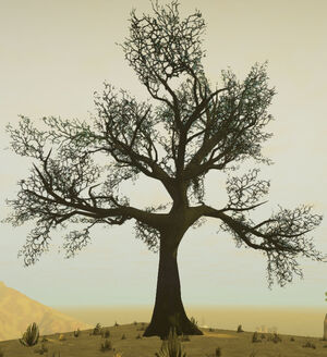 Spooky-tree
