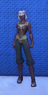 Travelers Attire Green equipped