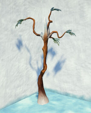 Tundra-spindle-pine-1