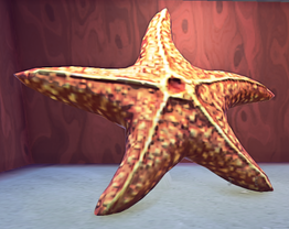 Landmark Starfish prop placed
