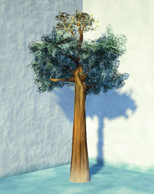 Tundra-grove-tree-lg-1
