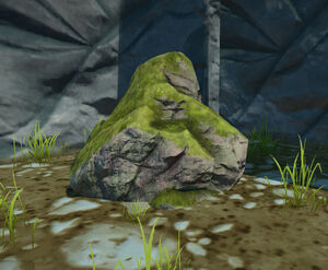 Old-growth-rock-mossy-1