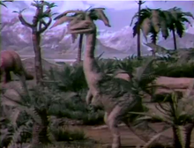 Dinosaur5