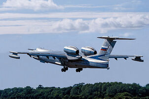 Albatrosss 8
