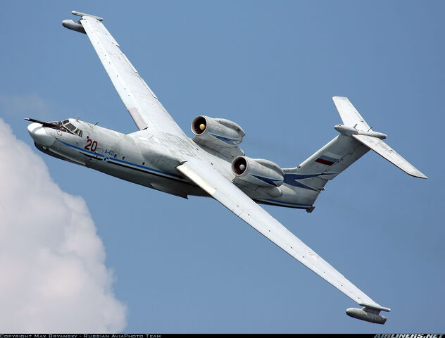 File:Albatross 1.jpg