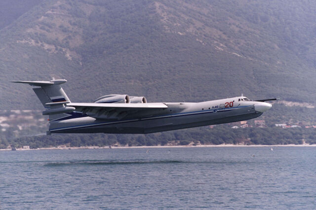 File:Albatross 4.jpg