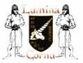 Luminaharcoskicsi