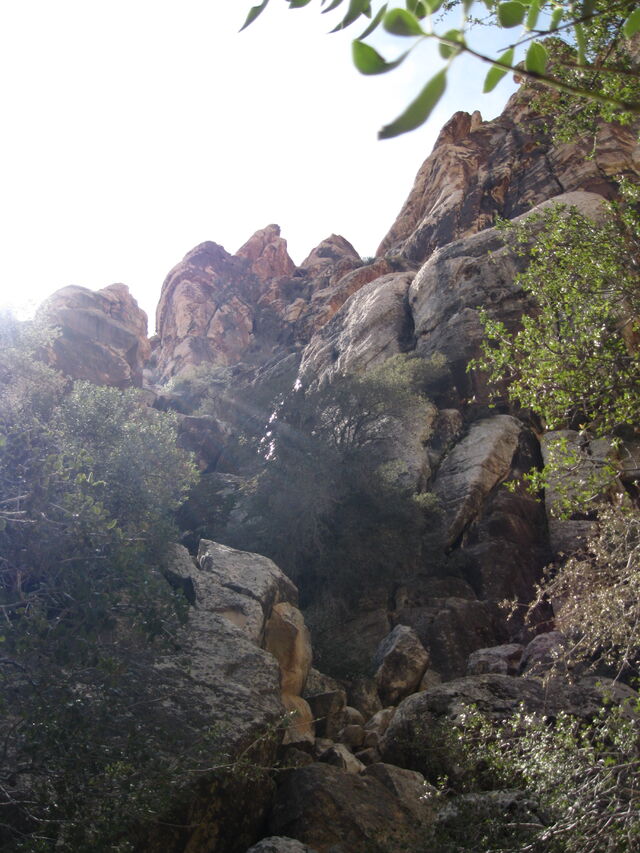 File:Willow Springs Hike.jpg