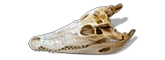 Foot Croc Loot g