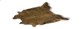 CamelSkin