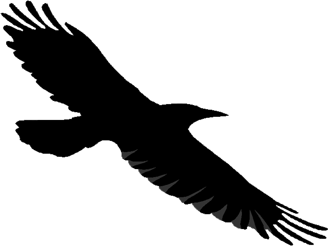 File:Raven.gif