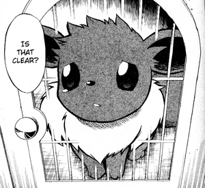 Mitsumi Eevee