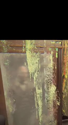 File:Artist (reflection).jpeg