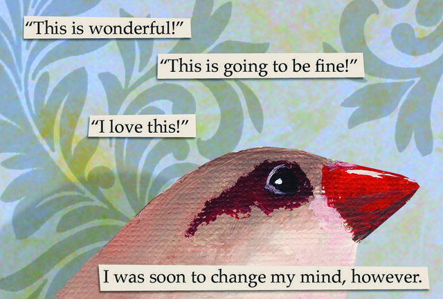 File:This-is-wonderful.jpg