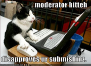 Demise101 Moderator Kitty
