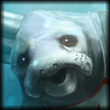 Emptylord UrfSquare