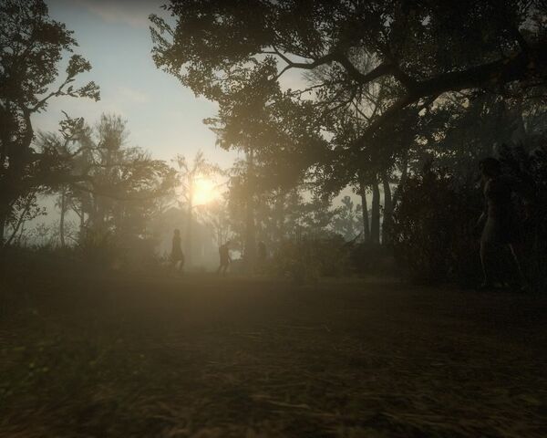 File:C3m4 plantation0013.jpg