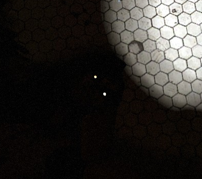 File:Eyeglow.png
