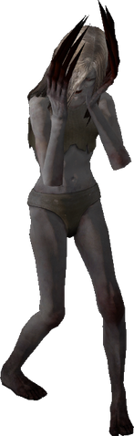 File:Witchwander.png