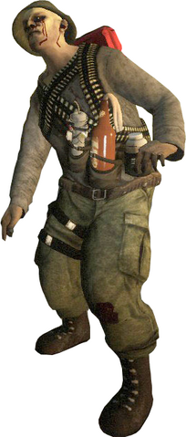 Archivo:FallenSurvivor.png