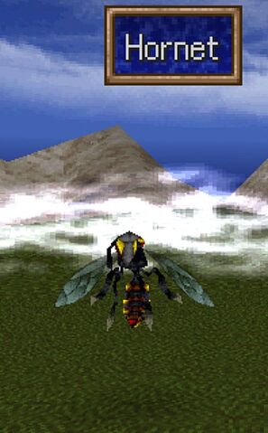 File:Hornet.jpg
