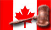 File:IconCanadaLaw.jpg