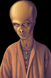 Raphide