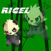 Rigel Poster