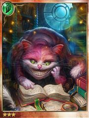 Elusive Cheshire Cat