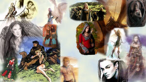 Collage2