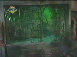 File:S1Swamp.jpg