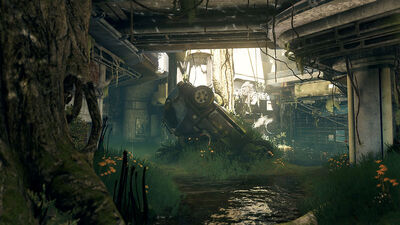 Overgrowth