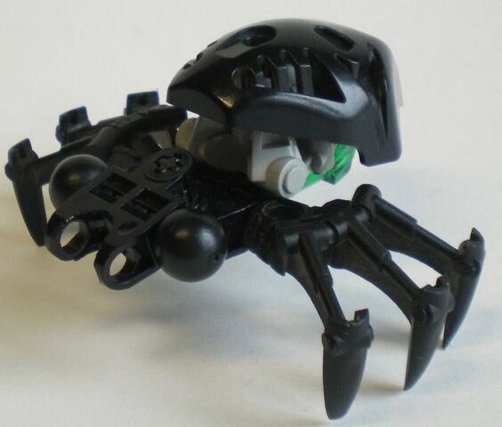 File:Blackfikou.jpg