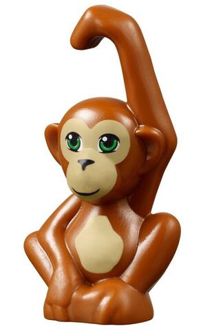 File:Orangutan.jpeg