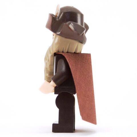 File:RADAGAST SIDE.jpg