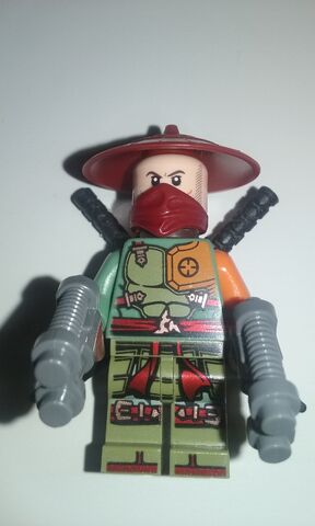 File:Roninfig.jpg