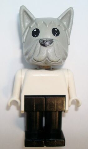 File:Doctor Dog.jpg