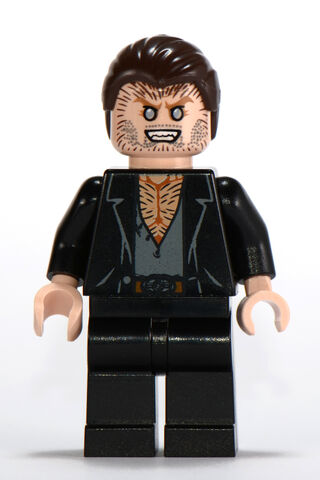 File:Greyback.jpeg