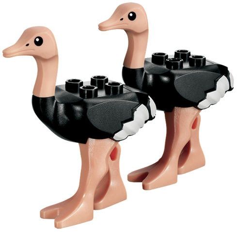 File:Ostrichs.png