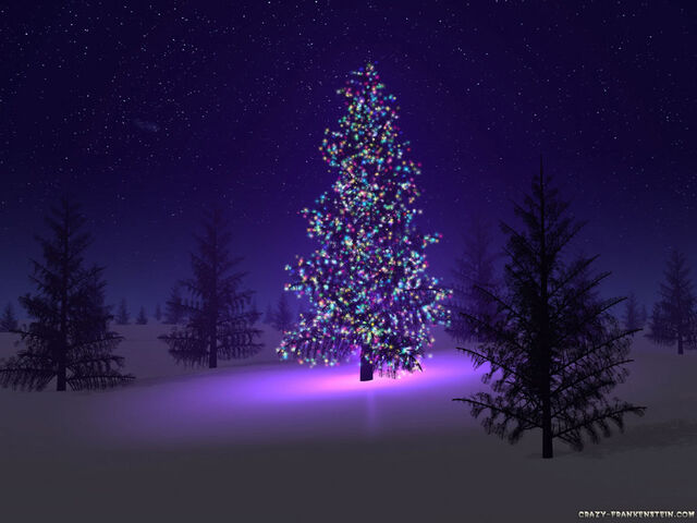 File:Beautiful-christmas-tree.jpg