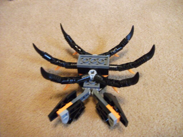 File:Crab 6.jpg