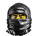 Ninjasmall