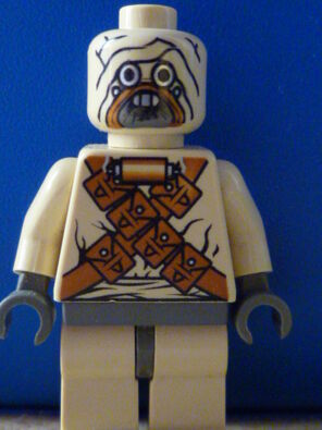 Tuskin Raider