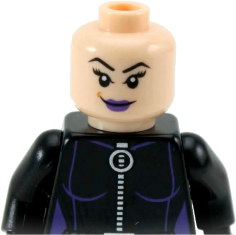 File:Catwoman 2012 mask off.png
